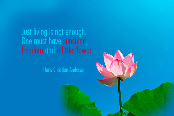 Hans Christian Anderson