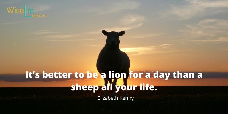 It’s better to be a lion for a day than a sheep all your life.