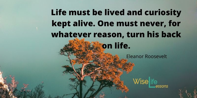 Life must be lived and curiosity kept alive. One must never, for whatever reason, turn his back on life.