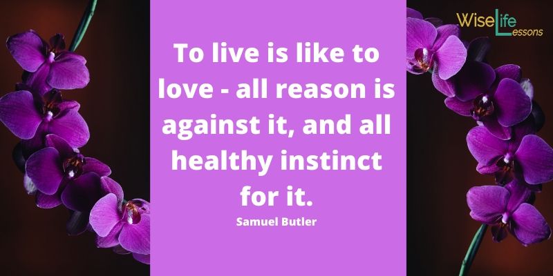 To live is like to love - all reason is against it, and all healthy instinct for it