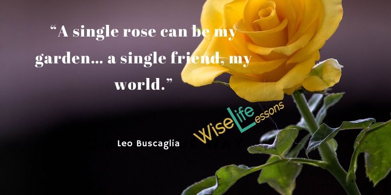 “A single rose can be my garden… a single friend, my world.”