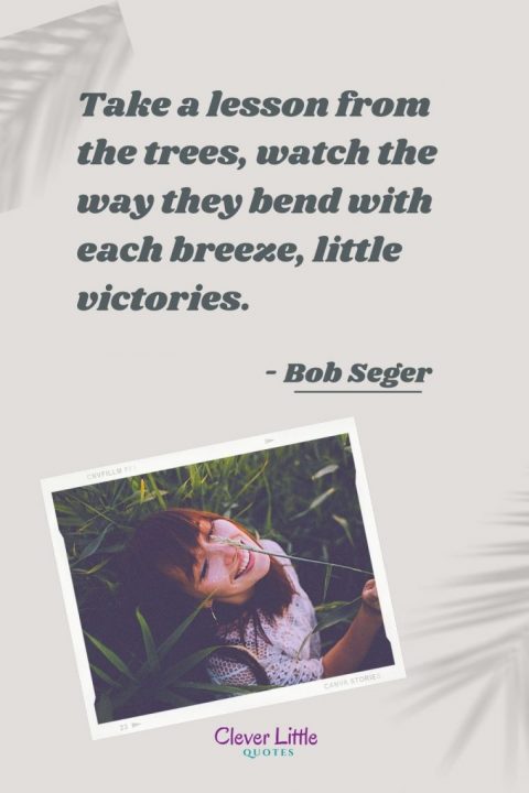 Take a lesson from the trees, watch the way they bend with each breeze, little victories. - Bob Seger