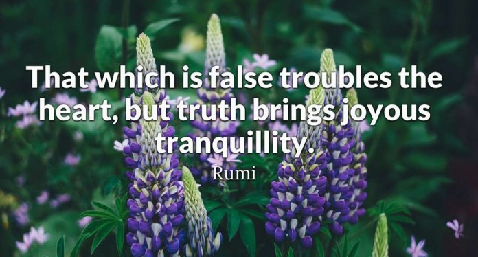That which is false troubles the heart, but truth brings joyous tranquility